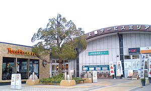 200911kamigosa.jpg